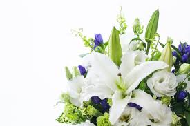 Stacy Kless Death, Obituary, New Jersey, United States — Family and Community Mourn the Loss of a Cherished and Compassionate Soul